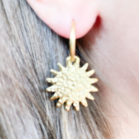 Schmuck Namen (43 von 48) Ohrring Sonne